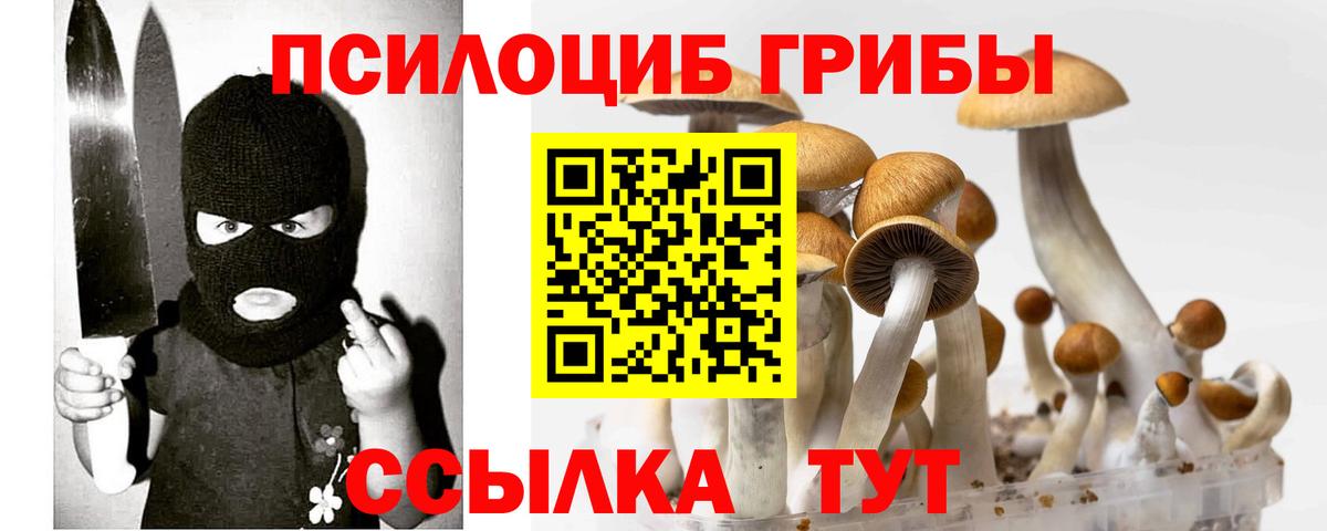Галлюциногенные грибы GOLDEN TEACHER  Вход с VPN  Серпухов 